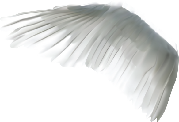 White Wing Cutout